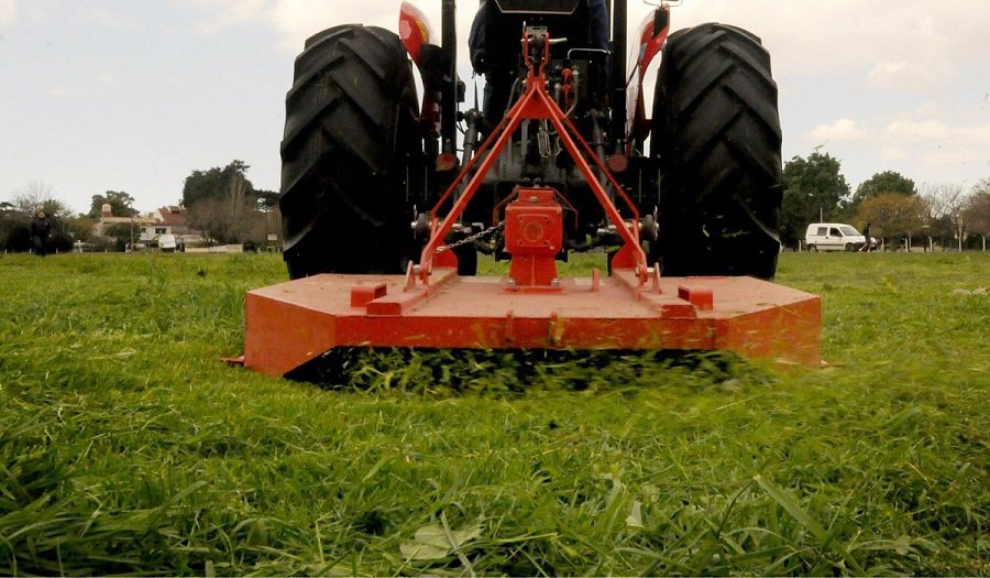 Servicio de Desmalezamiento